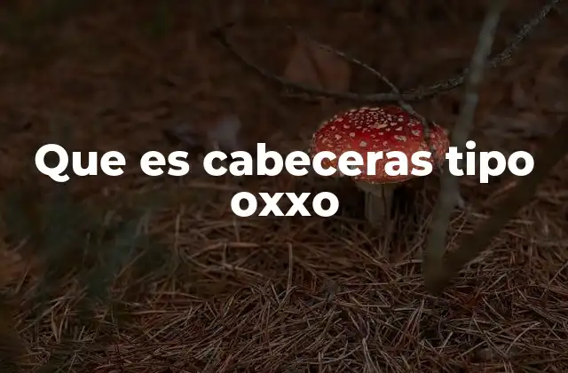 El papel de las unidades de transporte en la logística minorista