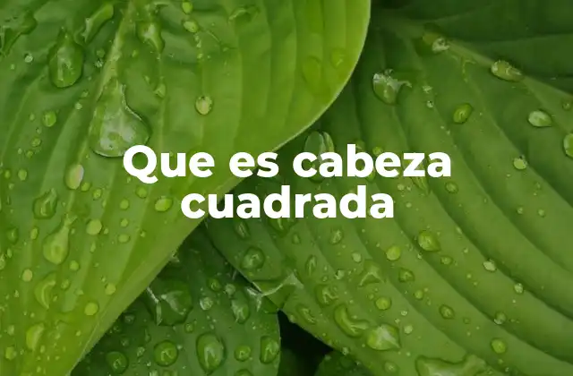 Que es Cabeza Cuadrada