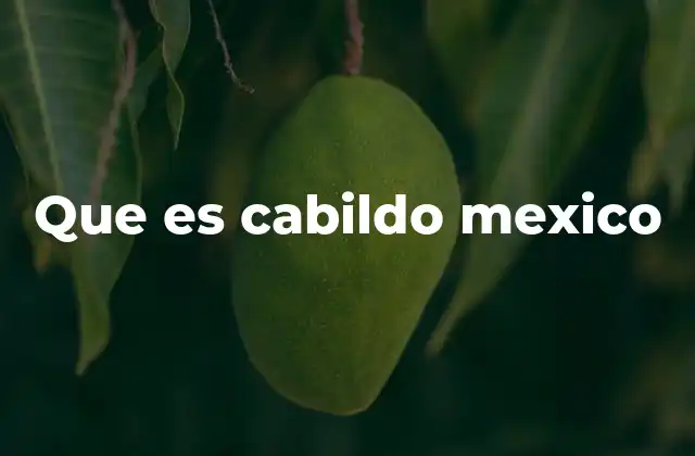 Que es Cabildo Mexico