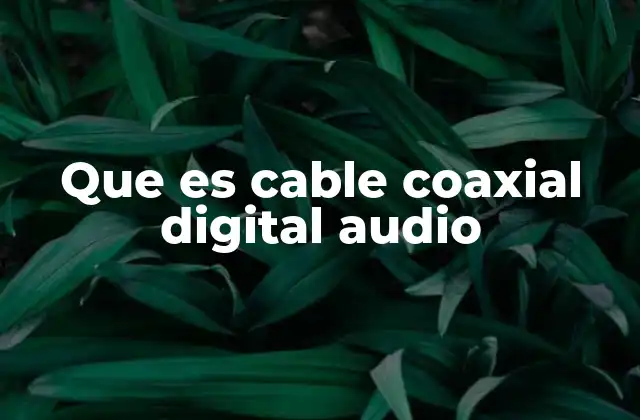 La importancia de los cables en la calidad del audio