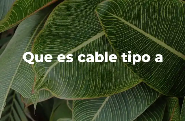 Que es Cable Tipo a