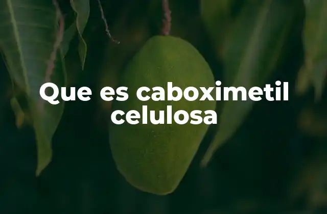 Que es Caboximetil Celulosa