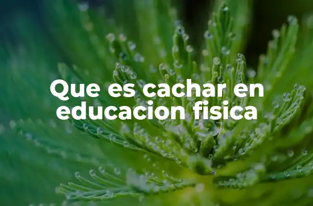 Que es Cachar en Educacion Fisica 2 El rol del cachar en el desarrollo del fútbol escolar