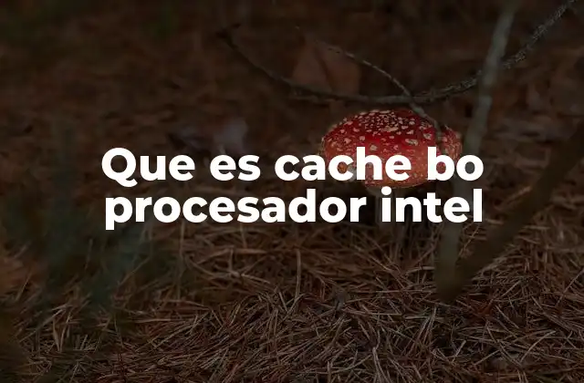 Que es Cache Bo Procesador Intel