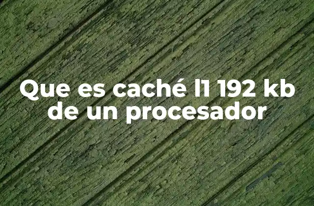 Que es Caché L1 192 Kb de un Procesador