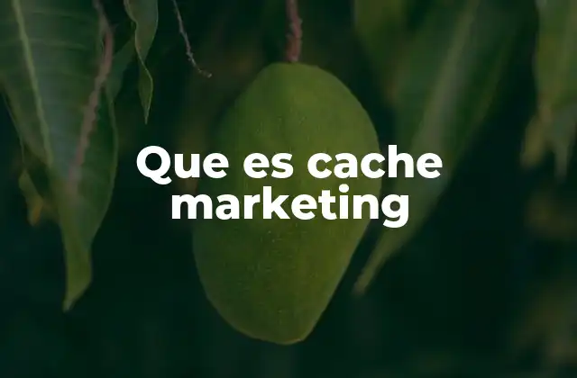 Que es Cache Marketing