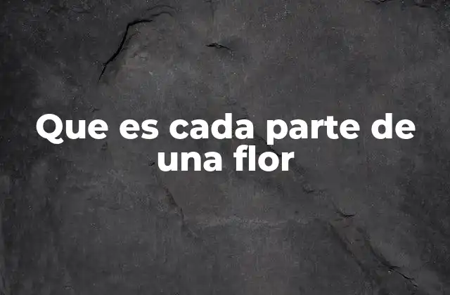 Que es Cada Parte de una Flor