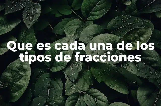 Que es Cada una de los Tipos de Fracciones