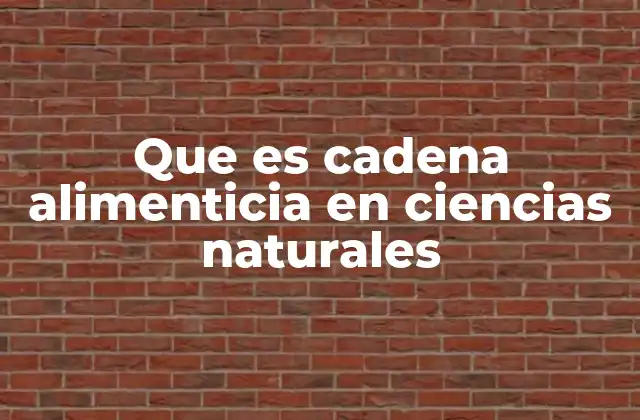 Que es Cadena Alimenticia en Ciencias Naturales