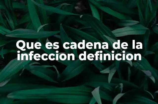 Que es Cadena de la Infeccion Definicion