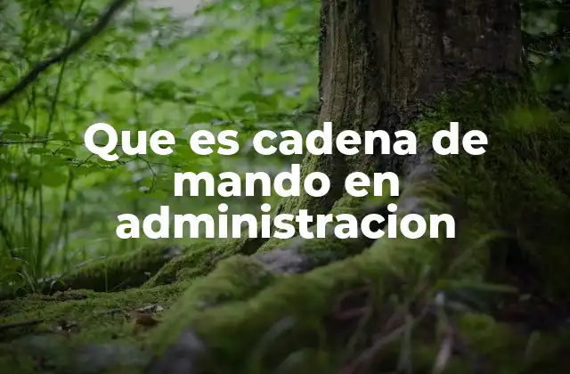 Que es Cadena de Mando en Administracion 2 La importancia de la autoridad y la comunicación estructurada