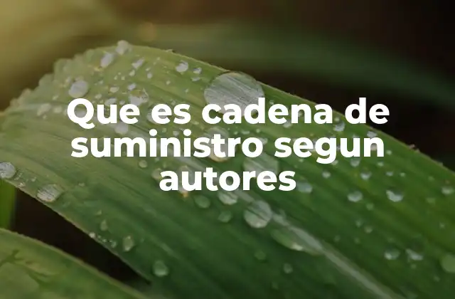 Que es Cadena de Suministro Segun Autores