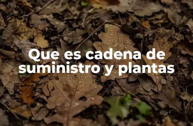 Que es Cadena de Suministro y Plantas