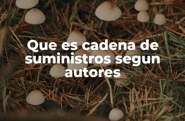 Que es Cadena de Suministros Segun Autores 2 La visión académica sobre el flujo de recursos
