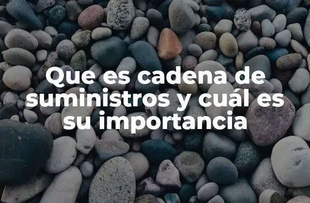 Que es Cadena de Suministros y Cuál es Su Importancia