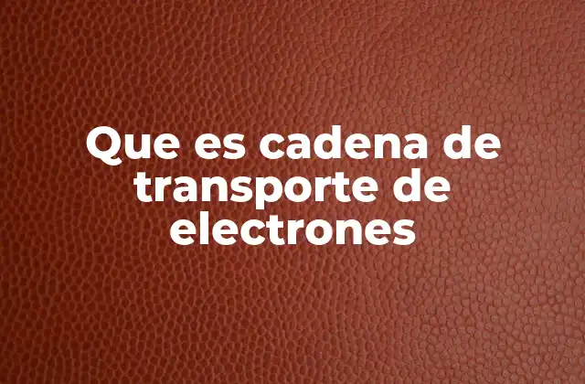 Que es Cadena de Transporte de Electrones