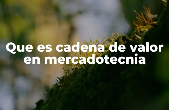 Que es Cadena de Valor en Mercadotecnia