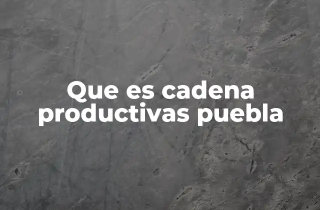 Que es Cadena Productivas Puebla
