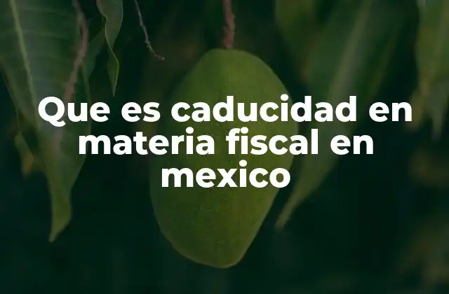 Que es Caducidad en Materia Fiscal en Mexico