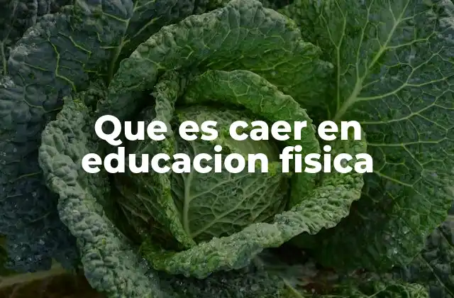 La importancia de la prevención de caídas en educación física