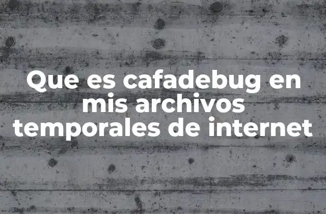 Que es Cafadebug en Mis Archivos Temporales de Internet