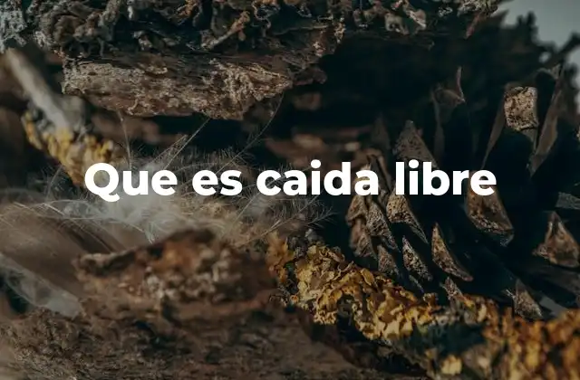 Que es Caida Libre
