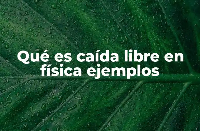 Qué es Caída Libre en Física Ejemplos