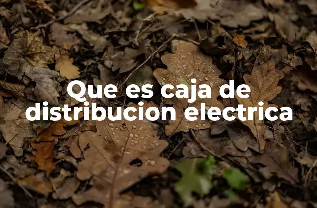 Que es Caja de Distribucion Electrica