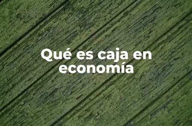 Qué es Caja en Economía