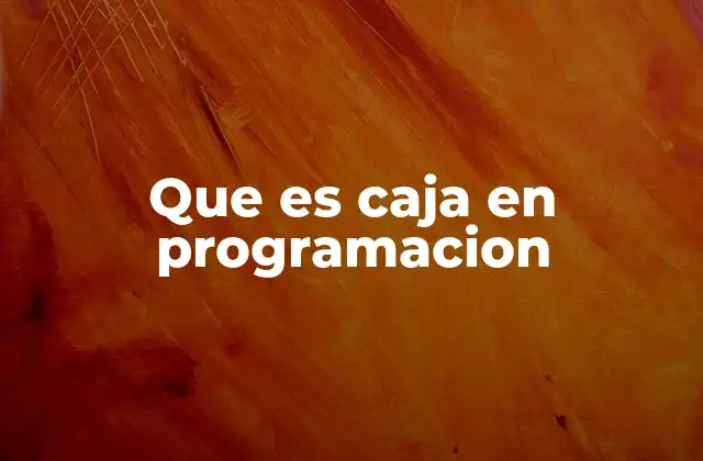 Que es Caja en Programacion