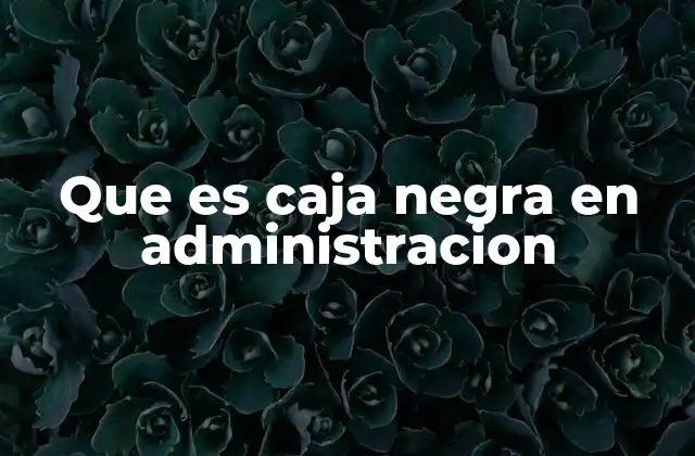 Que es Caja Negra en Administracion 2 Aplicaciones de la caja negra en la gestión empresarial
