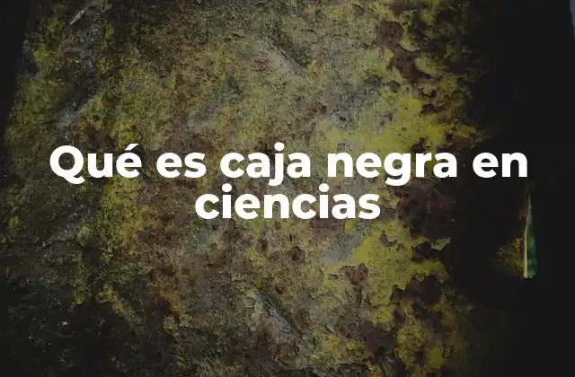Qué es Caja Negra en Ciencias