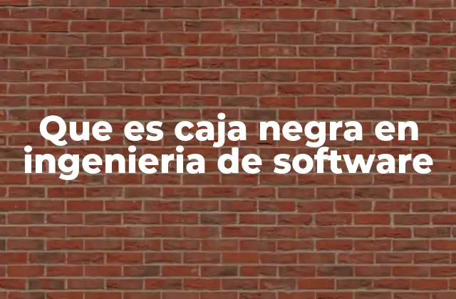 Que es Caja Negra en Ingenieria de Software