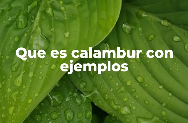 Que es Calambur con Ejemplos