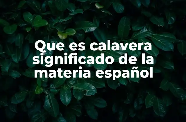 Que es Calavera Significado de la Materia Español
