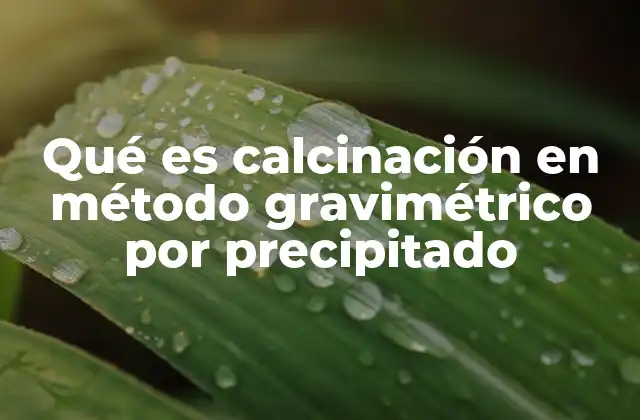 Qué es Calcinación en Método Gravimétrico por Precipitado 2 La importancia del paso térmico en la determinación gravimétrica