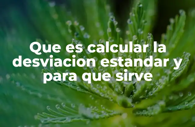 Que es Calcular la Desviacion Estandar y para que Sirve