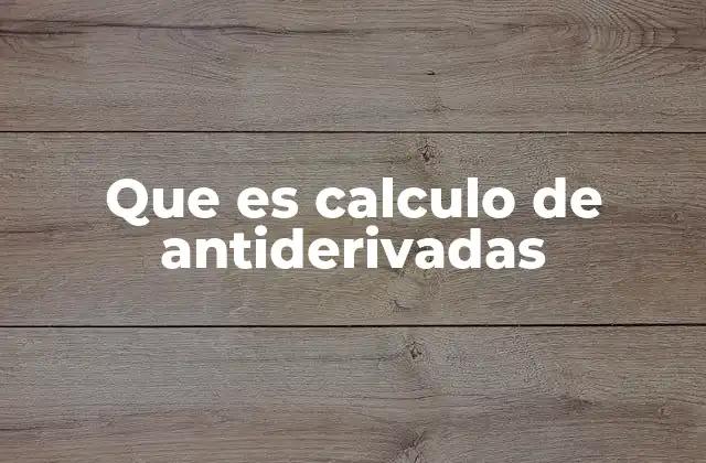 Que es Calculo de Antiderivadas
