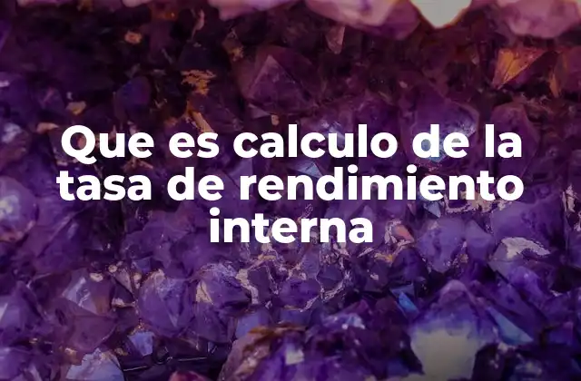 Que es Calculo de la Tasa de Rendimiento Interna 2 Importancia de la tasa de rendimiento interno en la toma de decisiones financieras