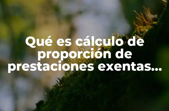 Qué es Cálculo de Proporción de Prestaciones Exentas Deducibles