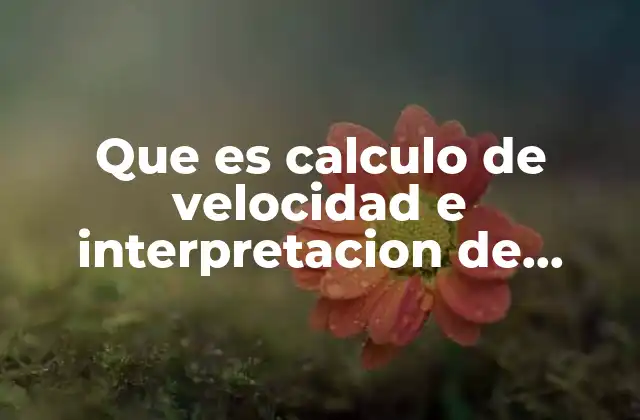 Que es Calculo de Velocidad e Interpretacion de Graficas