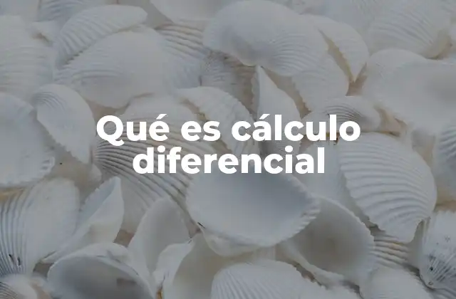 Qué es Cálculo Diferencial