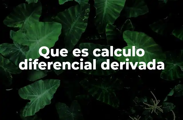 Que es Calculo Diferencial Derivada