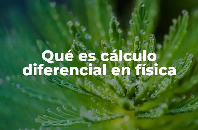 Qué es Cálculo Diferencial en Física