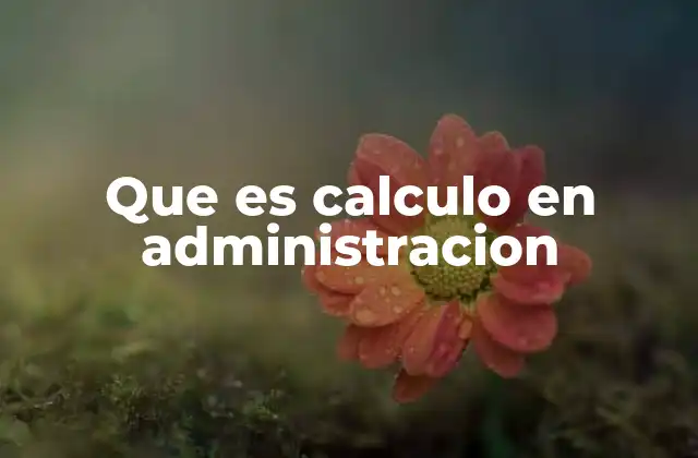 Que es Calculo en Administracion