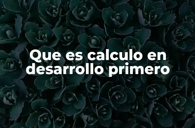 Que es Calculo en Desarrollo Primero