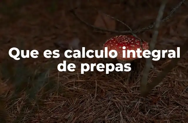 Que es Calculo Integral de Prepas