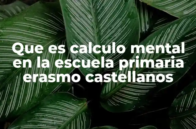 Que es Calculo Mental en la Escuela Primaria Erasmo Castellanos