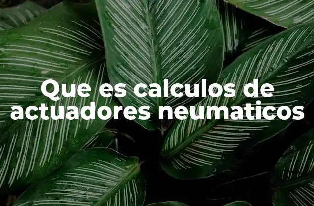 Que es Calculos de Actuadores Neumaticos 2 La importancia de los cálculos en sistemas automatizados