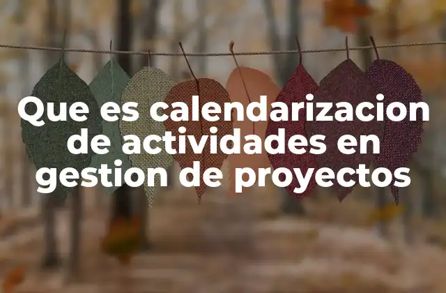 Que es Calendarizacion de Actividades en Gestion de Proyectos